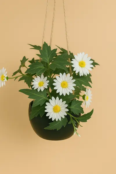 [PT-1679] Daisy Bloom Hanging Planter