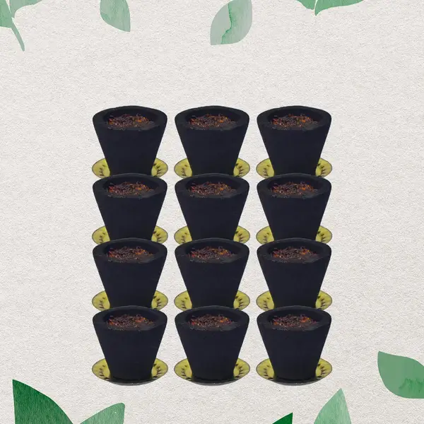 [13767_sambrani_dhoop_cup_12pc] Premium Gugal Sambrani Cup Sambrani Havan Cups (12 Pcs Set)